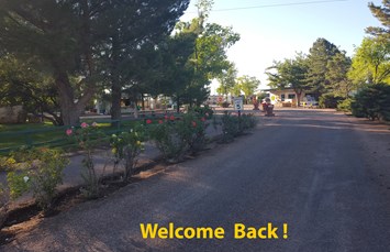 Holbrook / Petrified Forest KOA Journey Photo