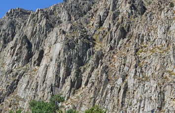 Coleville / Walker KOA Holiday Photo