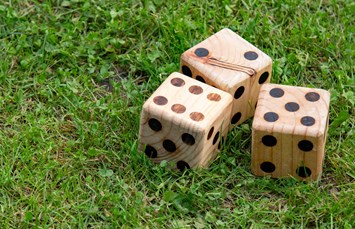 Minneapolis Southwest KOA Holiday Photo