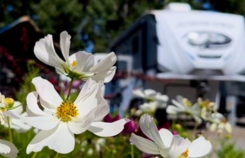 Big Timber / Greycliff KOA Journey Photo