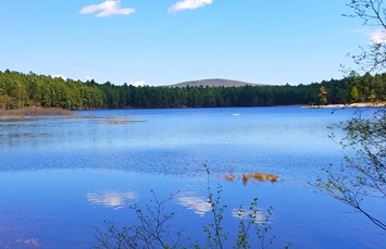 Chocorua KOA Holiday Photo