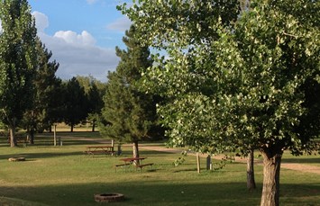 Spearfish / Black Hills KOA Holiday Photo