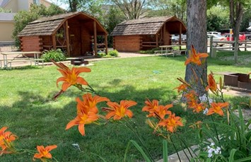 Sioux City North KOA Holiday Photo