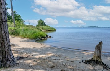 Tall Pines / Chesapeake Bay KOA Holiday Photo