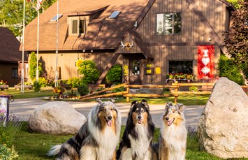 Sault Ste. Marie KOA Holiday Photo