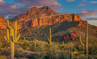 Southwestern desert mountain and catcus